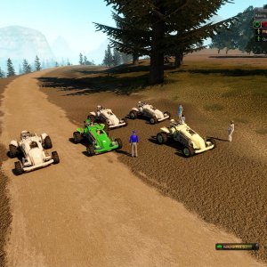 Racing Calypso Car