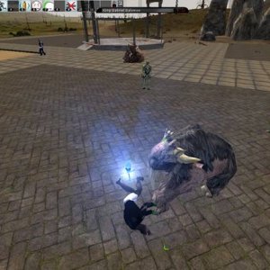 killed by a pet!