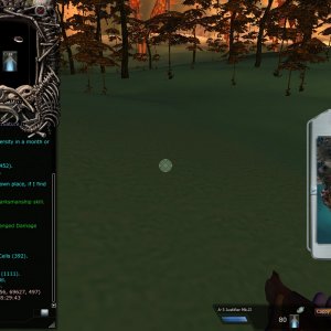 In-game Map 3