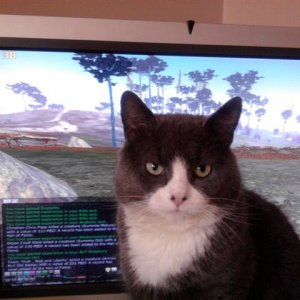 Puss