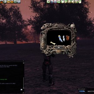 Atrax13