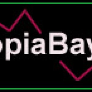 Entropiabay Logo