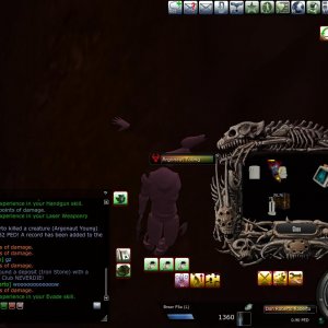8k hof