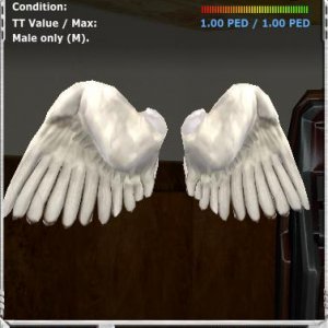 angelic wings