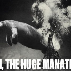 Oh, the huge manatee
