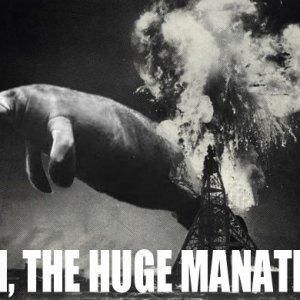 Oh, the huge manatee