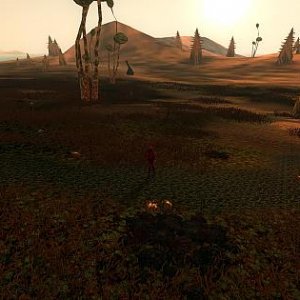 Eyefinity 2010 - Entropia