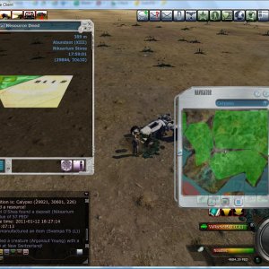 Noodles LA 15 Jan 2011-10