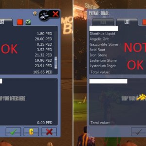 Fast trade focus