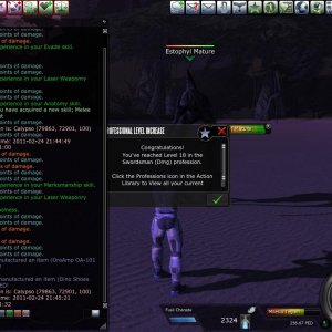 Melee Damage Assesment