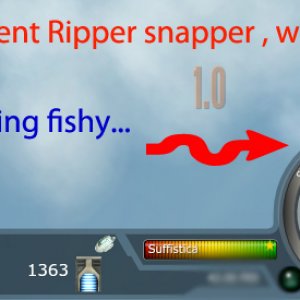 Ripper Snapper Wave Event, just a few fish