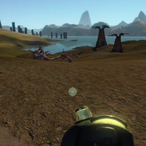 The Rotting Shore