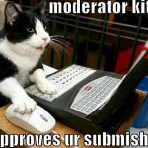 moderator cat