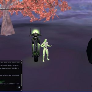 biggest loot yet