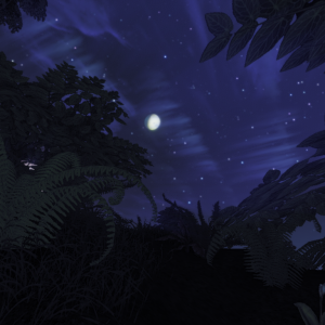 Moon from forest 2