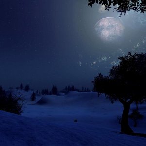 Arkadia Polar Moonlit Night