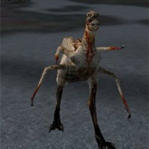 Berycled