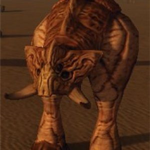Caudatergus