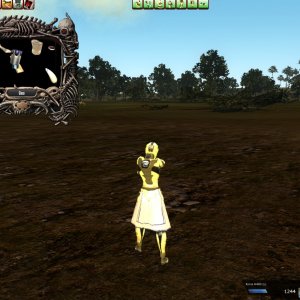 hunting