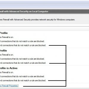 Windows Firewall settings for Entropia updates