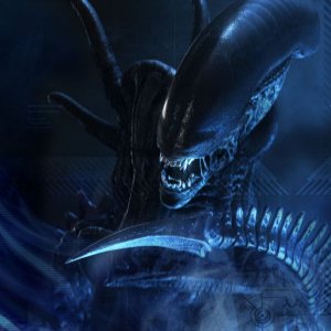Xenomorph