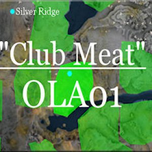 250.230 ola1