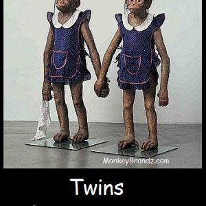 Twin Monkeys