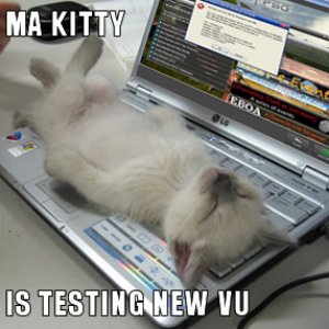 MAs new vu testing procedure