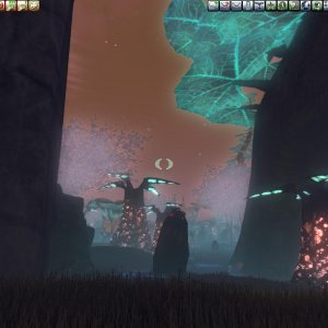 swamp near fort isis