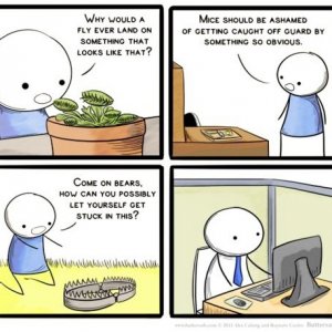 traps