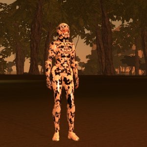 Stealth ARmor 02