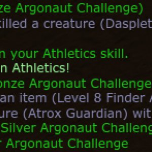 Bronze argonaut challenge
