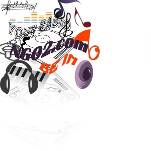 ngo2.com