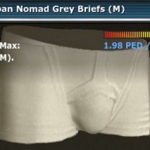 Urban Nomad Grey Briefs (M) - VU 14.0 bug