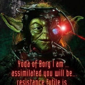 yoda of borg