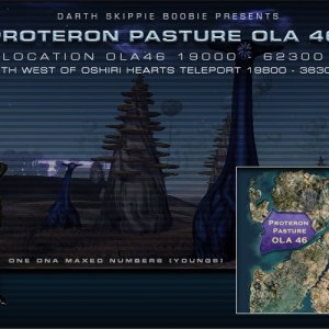 Proteron 46 Banner