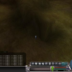 bottom less hole bugs