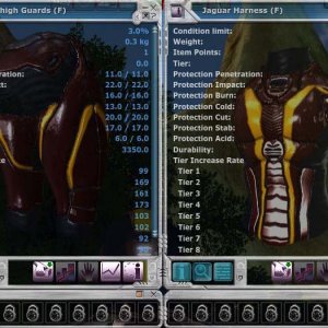 Jaguar female thigh and harness for sale