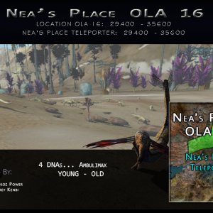 Nea's OLA 16
