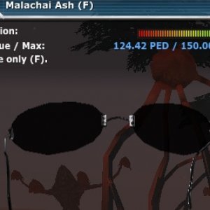 Malachai Ash shades