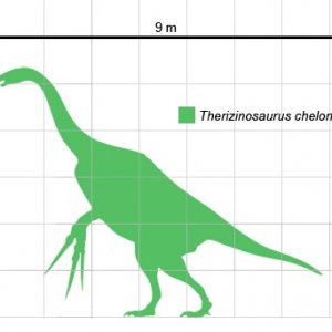 Therizinosaurus