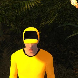Avatar2