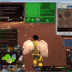 2014-01-10 -- caldorite stone 75 ped