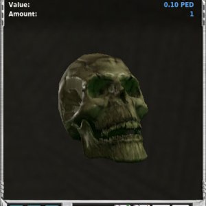 skeleton head