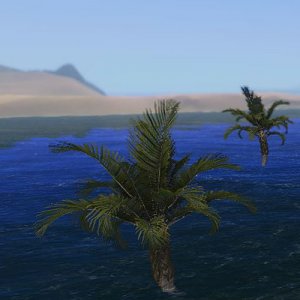 trees in water