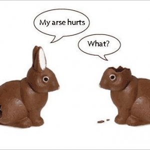 chocolate bunny