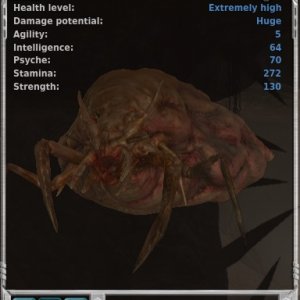 Saba Brood mother marauder