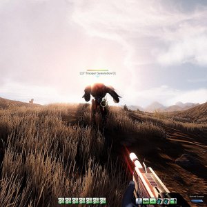 Out Of the Sun