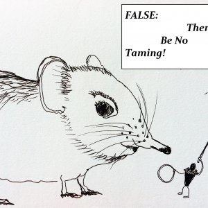 taming 780045