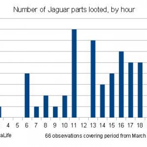 UL Jaguar looting stats